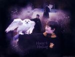 Harry & Hedwig No. 2 (The Philosopher's Stone)