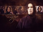 Severus Snape No. 2 (Chamber of Secrets)